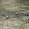 sam_0425